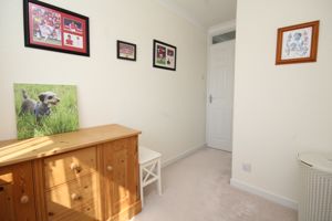 Photo 20- click for photo gallery